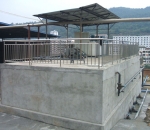 como apostar em cavalos no bet 365